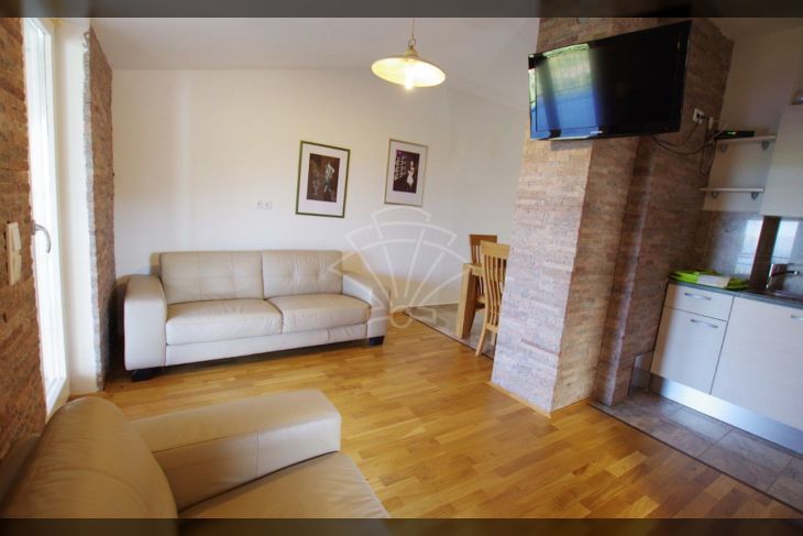 Vila, Prodaja, Raša, Drenje Vila, Prodaja, Raša, Drenje