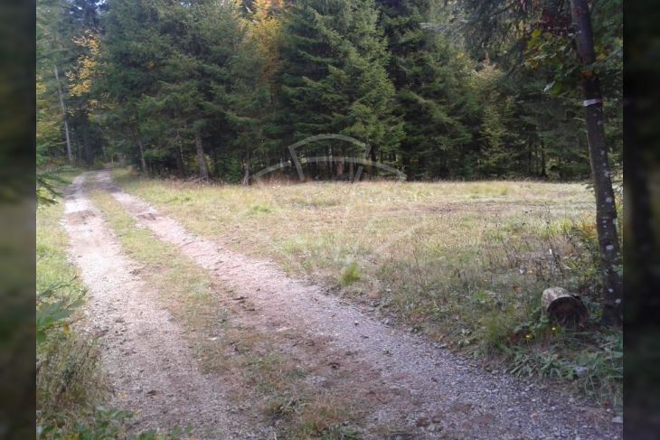 Poljoprivredno zemljište, Prodaja, Delnice, Lučice Poljoprivredno zemljište, Prodaja, Delnice, Lučice