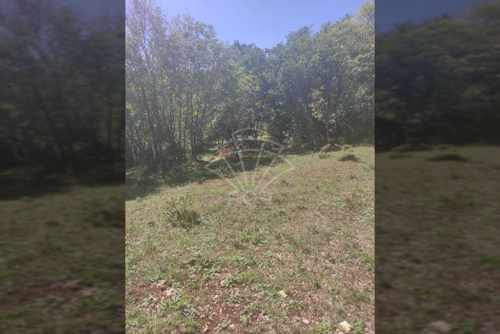 Poljoprivredno zemljište, Prodaja, Vodnjan, Vodnjan Poljoprivredno zemljište, Prodaja, Vodnjan, Vodnjan