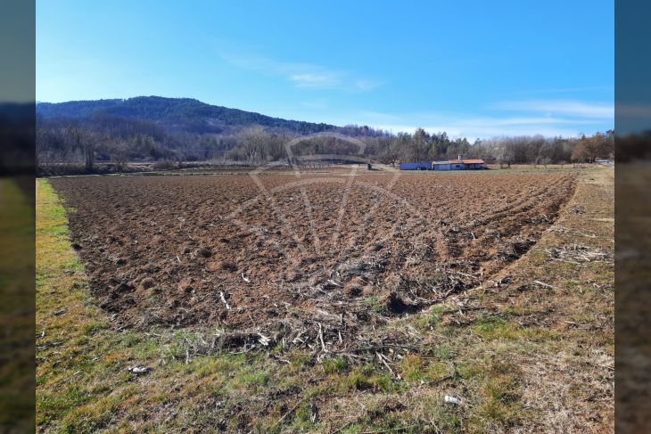Oranica, Prodaja, Pazin - Okolica, Zarečje Oranica, Prodaja, Pazin - Okolica, Zarečje
