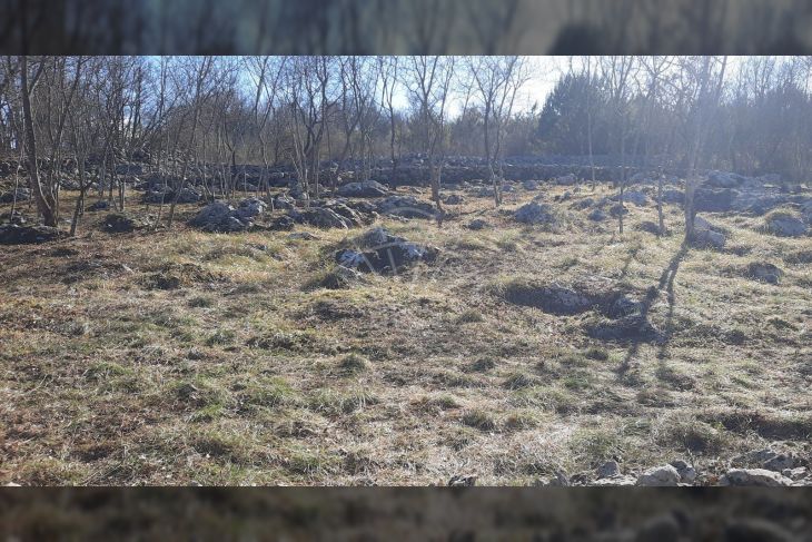 Poljoprivredno zemljište, Prodaja, Krk, Kornić Poljoprivredno zemljište, Prodaja, Krk, Kornić