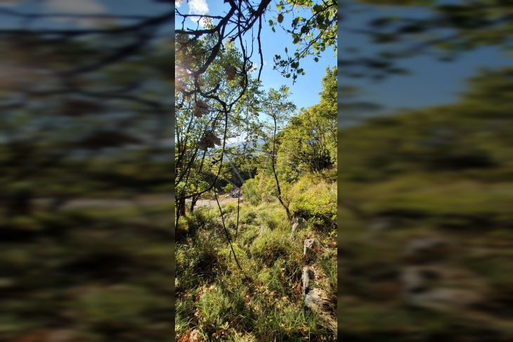 Građevinsko zemljište, Prodaja, Matulji, Pavlovac Građevinsko zemljište, Prodaja, Matulji, Pavlovac