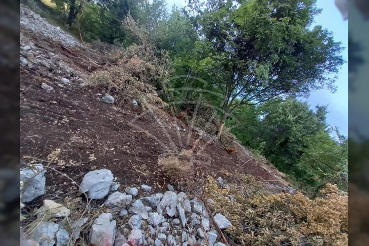 Poljoprivredno zemljište, Prodaja, Dobrinj, Šilo Poljoprivredno zemljište, Prodaja, Dobrinj, Šilo