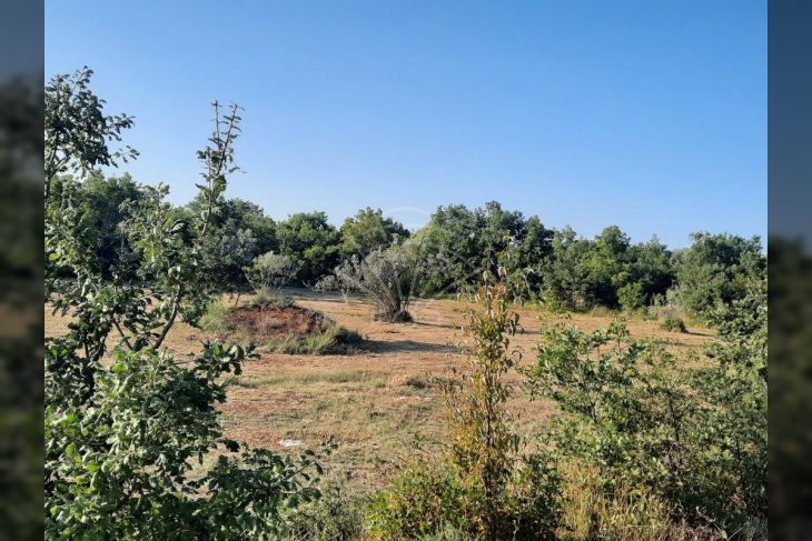 Oranica, Prodaja, Vodnjan, Vodnjan Oranica, Prodaja, Vodnjan, Vodnjan