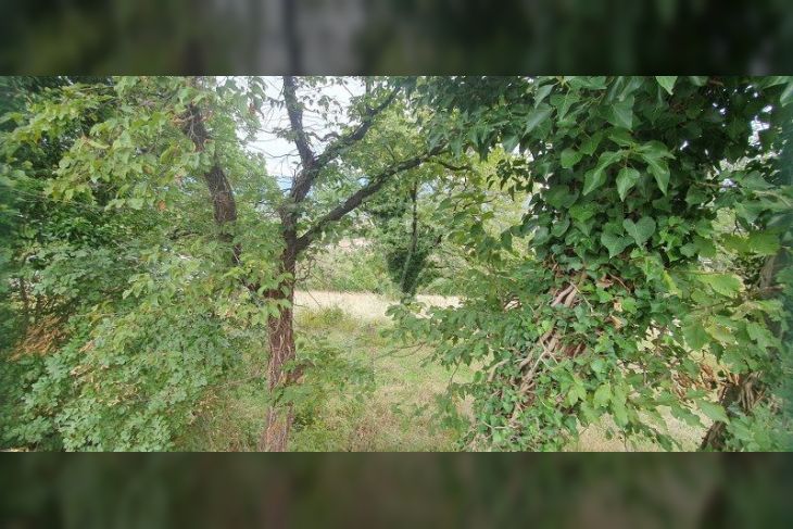 Građevinsko zemljište, Prodaja, Čavle, Cernik Građevinsko zemljište, Prodaja, Čavle, Cernik