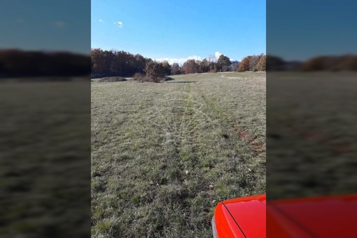 Poljoprivredno zemljište, Prodaja, Kanfanar, Barat