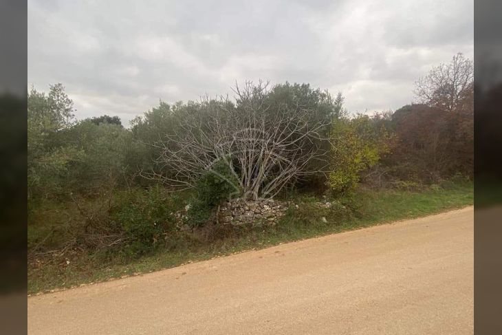 Građevinsko zemljište, Prodaja, Marčana, Peruški Građevinsko zemljište, Prodaja, Marčana, Peruški