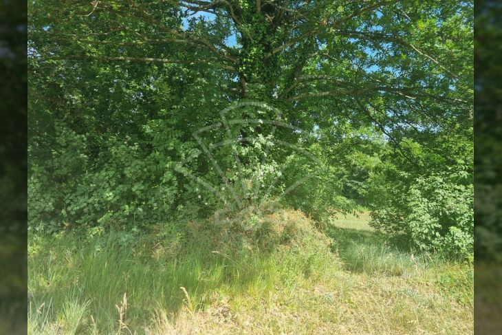 Građevinsko zemljište, Prodaja, Svetvinčenat, Režanci Građevinsko zemljište, Prodaja, Svetvinčenat, Režanci