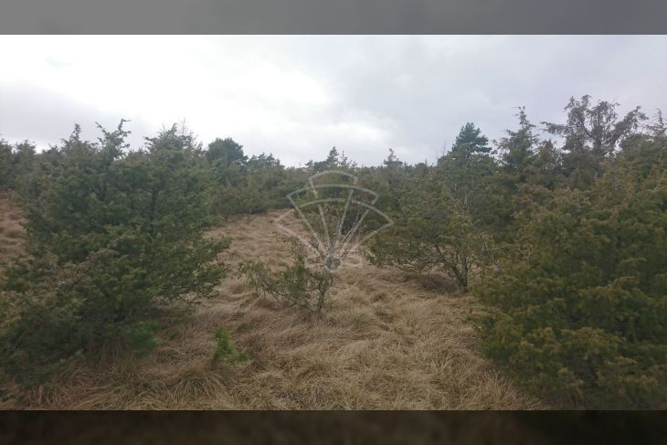 Poljoprivredno zemljište, Prodaja, Matulji, Lipa Poljoprivredno zemljište, Prodaja, Matulji, Lipa