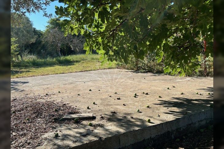 Poljoprivredno zemljište, Prodaja, Pula, Pula Poljoprivredno zemljište, Prodaja, Pula, Pula