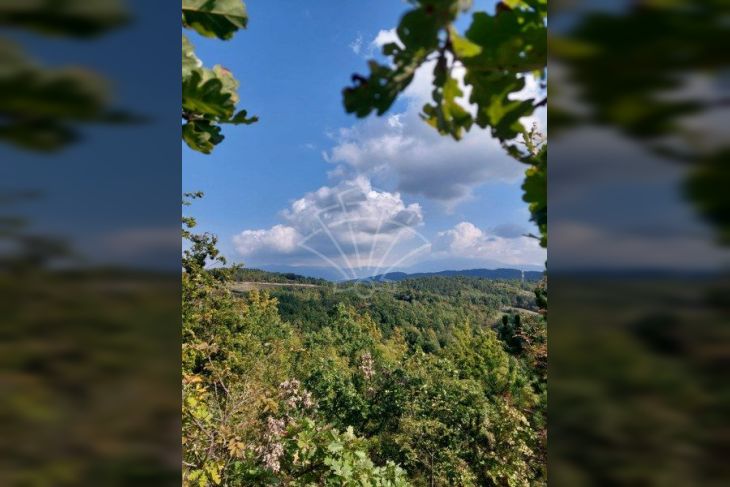 Poljoprivredno zemljište, Prodaja, Cerovlje, Cerovlje Poljoprivredno zemljište, Prodaja, Cerovlje, Cerovlje