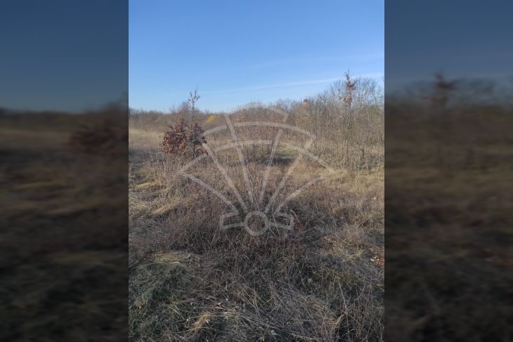 Građevinsko zemljište, Prodaja, Barban, Barban Građevinsko zemljište, Prodaja, Barban, Barban