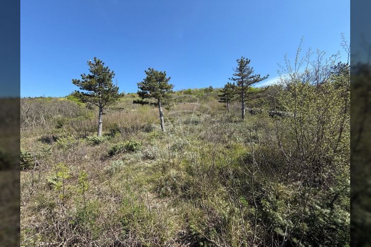 Građevinsko zemljište, Prodaja, Crikvenica, Dramalj Građevinsko zemljište, Prodaja, Crikvenica, Dramalj