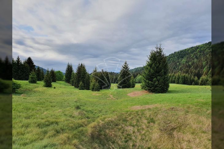 Poljoprivredno zemljište, Prodaja, Ravna gora, Ravna Gora Poljoprivredno zemljište, Prodaja, Ravna gora, Ravna Gora