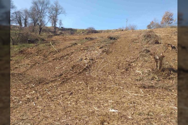 Građevinsko zemljište, Prodaja, Svetvinčenat, Bibići Građevinsko zemljište, Prodaja, Svetvinčenat, Bibići