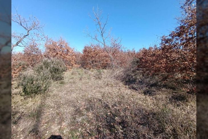 Poljoprivredno zemljište, Prodaja, Vodnjan, Gajana Poljoprivredno zemljište, Prodaja, Vodnjan, Gajana