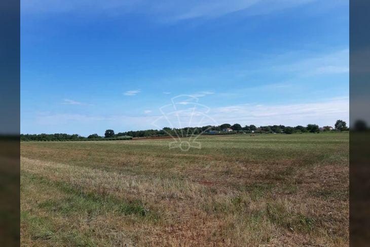 Poljoprivredno zemljište, Prodaja, Vižinada, Markovići Poljoprivredno zemljište, Prodaja, Vižinada, Markovići