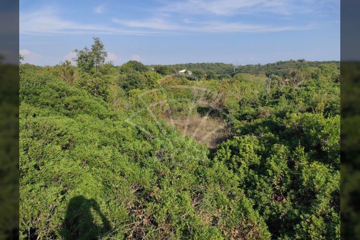 Građevinsko zemljište, Prodaja, Medulin, Vintijan Građevinsko zemljište, Prodaja, Medulin, Vintijan