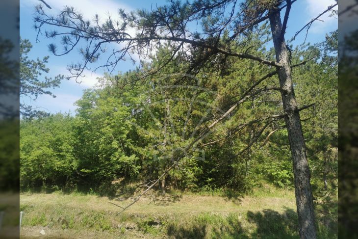 Poljoprivredno zemljište, Prodaja, Lupoglav, Lesišćina Poljoprivredno zemljište, Prodaja, Lupoglav, Lesišćina