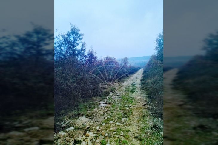 Poljoprivredno zemljište, Prodaja, Višnjan, Bačva Poljoprivredno zemljište, Prodaja, Višnjan, Bačva