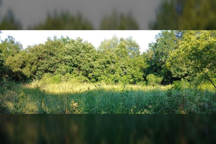 Agricultural plot, Sale, Barban, Barban Agricultural plot, Sale, Barban, Barban