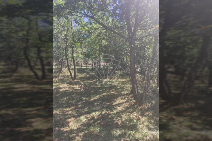 Poljoprivredno zemljište, Prodaja, Vodnjan, Vodnjan Poljoprivredno zemljište, Prodaja, Vodnjan, Vodnjan