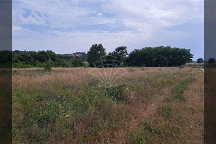 Poljoprivredno zemljište, Prodaja, Poreč, Montižana