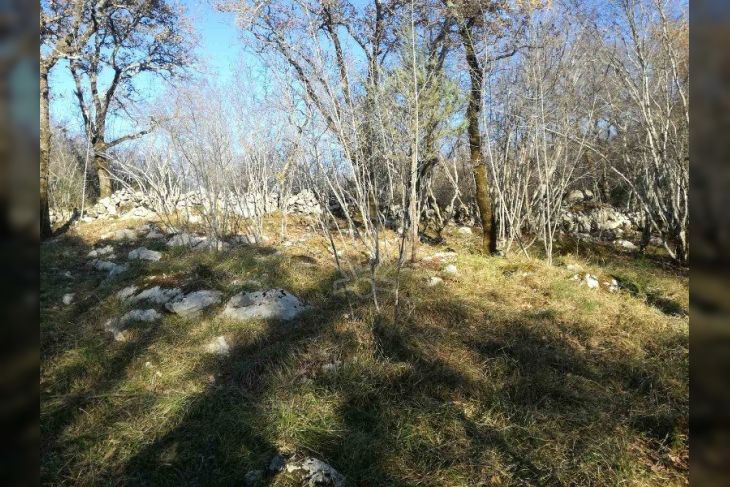 Šuma, Prodaja, Dobrinj, Gabonjin Šuma, Prodaja, Dobrinj, Gabonjin