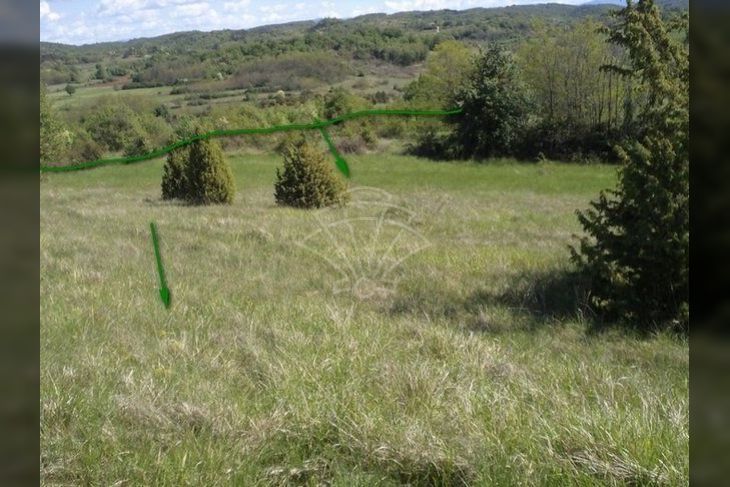 Poljoprivredno zemljište, Prodaja, Motovun, Motovun