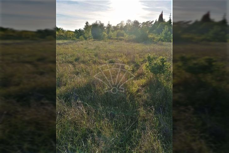 Građevinsko zemljište, Prodaja, Svetvinčenat, Svetvinčenat