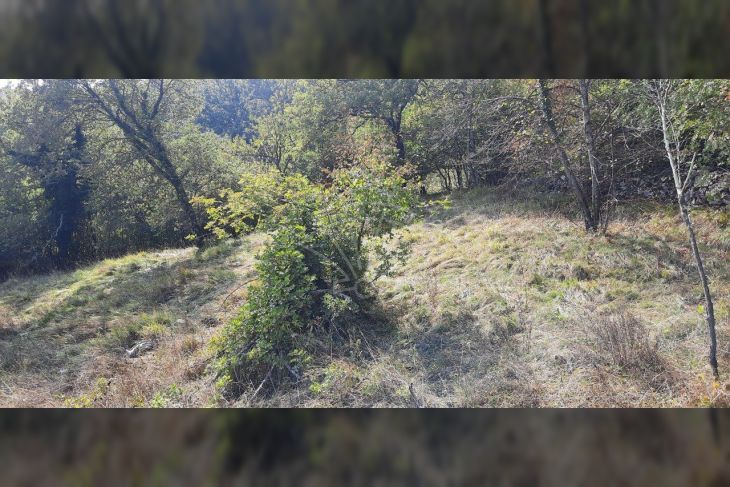 Građevinsko mješovito, Prodaja, Čavle, Podrvanj Građevinsko mješovito, Prodaja, Čavle, Podrvanj