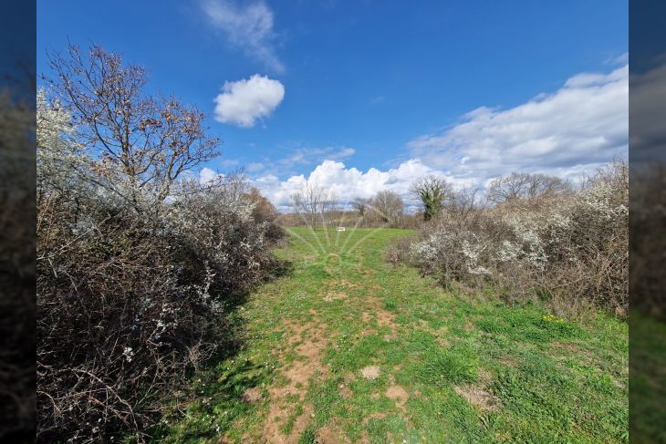 Građevinsko zemljište, Prodaja, Barban, Manjadvorci