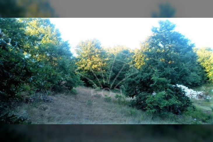 Građevinsko zemljište, Prodaja, Svetvinčenat, Smoljanci Građevinsko zemljište, Prodaja, Svetvinčenat, Smoljanci