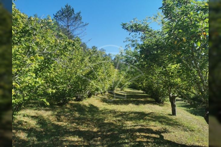 Samostojeća kuća, Prodaja, Buzet, Mala Huba Samostojeća kuća, Prodaja, Buzet, Mala Huba
