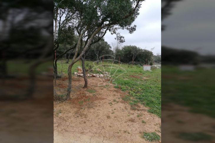 Poljoprivredno zemljište, Prodaja, Pula, Pula Poljoprivredno zemljište, Prodaja, Pula, Pula