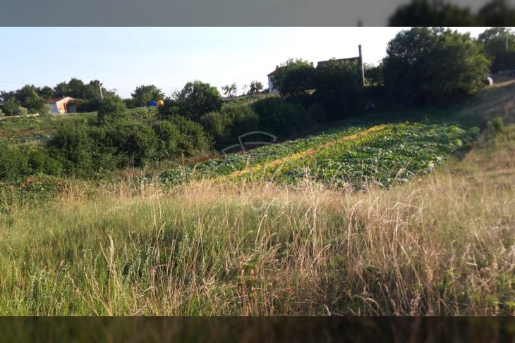 Poljoprivredno zemljište, Prodaja, Višnjan, Prhati