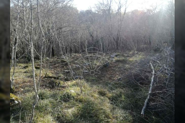 Šuma, Prodaja, Dobrinj, Gabonjin Šuma, Prodaja, Dobrinj, Gabonjin