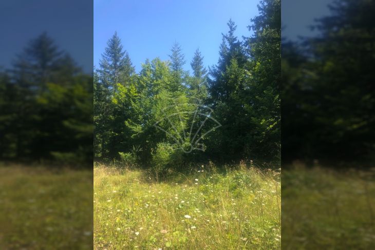 Građevinsko zemljište, Prodaja, Čabar, Tršće