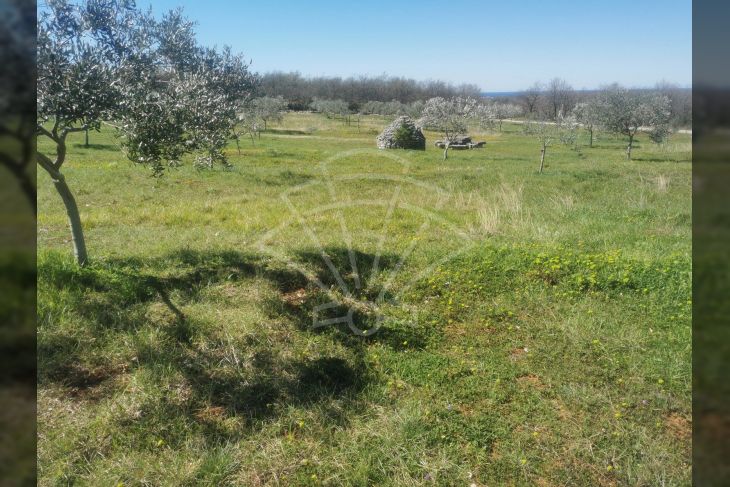 Poljoprivredno zemljište, Prodaja, Vodnjan, Vodnjan Poljoprivredno zemljište, Prodaja, Vodnjan, Vodnjan