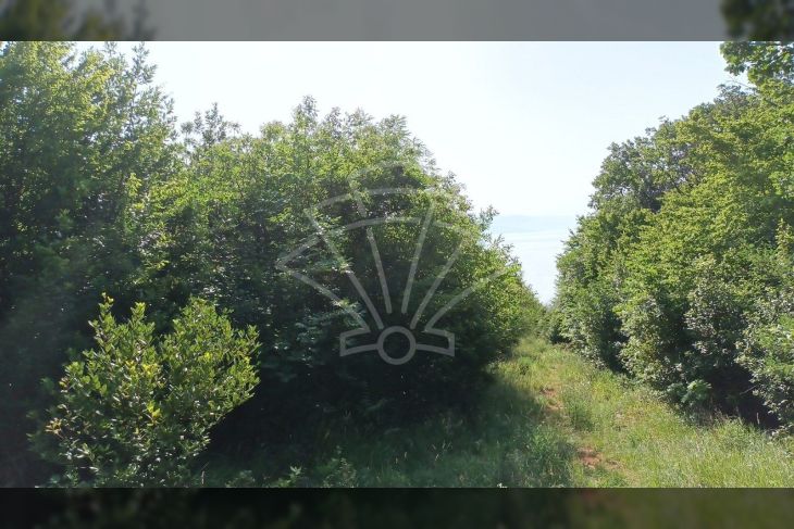 Građevinsko zemljište, Prodaja, Opatija, Opatija Građevinsko zemljište, Prodaja, Opatija, Opatija