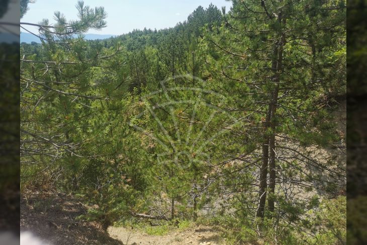 Poljoprivredno zemljište, Prodaja, Lupoglav, Lesišćina Poljoprivredno zemljište, Prodaja, Lupoglav, Lesišćina