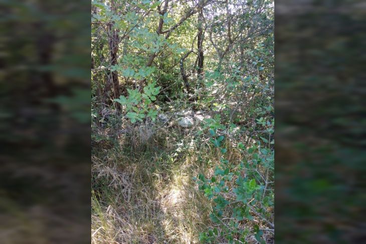 Poljoprivredno zemljište, Prodaja, Vodnjan, Vodnjan Poljoprivredno zemljište, Prodaja, Vodnjan, Vodnjan