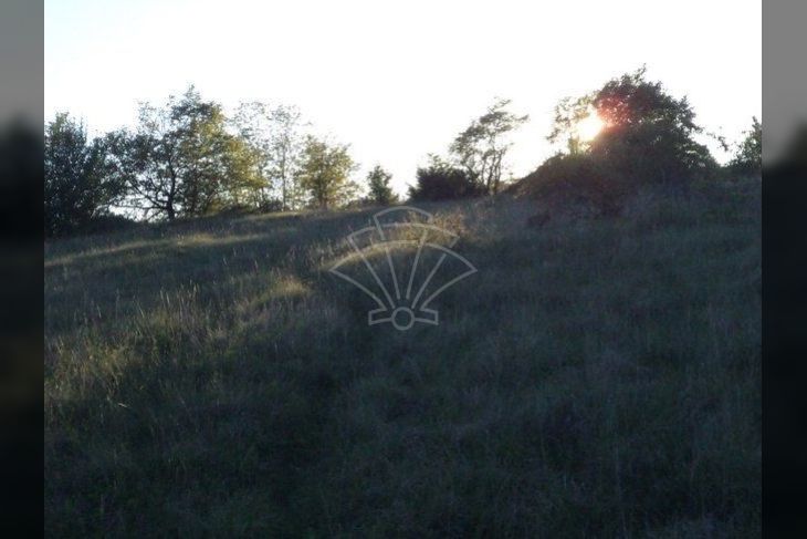 Poljoprivredno zemljište, Prodaja, Motovun, Motovun Poljoprivredno zemljište, Prodaja, Motovun, Motovun