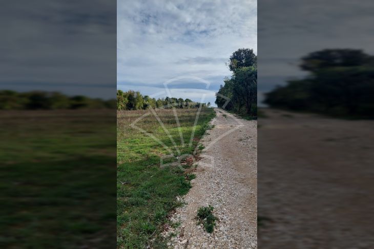 Poljoprivredno zemljište, Prodaja, Ližnjan, Šišan Poljoprivredno zemljište, Prodaja, Ližnjan, Šišan
