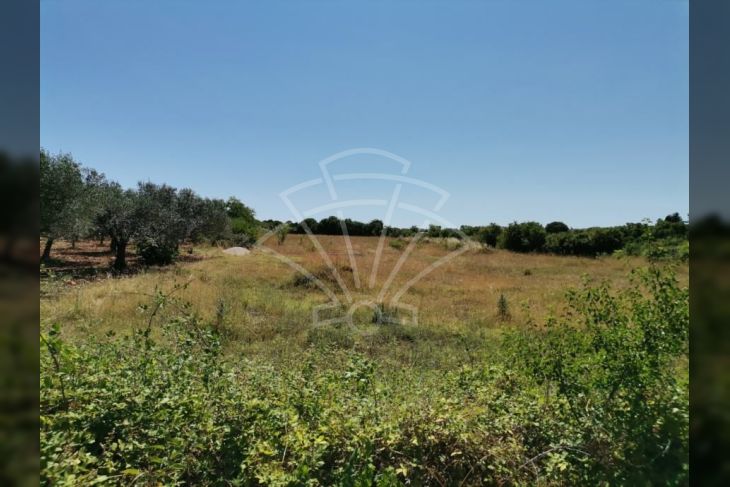Građevinsko poslovno, Prodaja, Vodnjan, Vodnjan Građevinsko poslovno, Prodaja, Vodnjan, Vodnjan