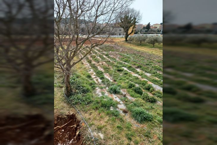Građevinsko zemljište, Prodaja, Medulin, Pomer Građevinsko zemljište, Prodaja, Medulin, Pomer