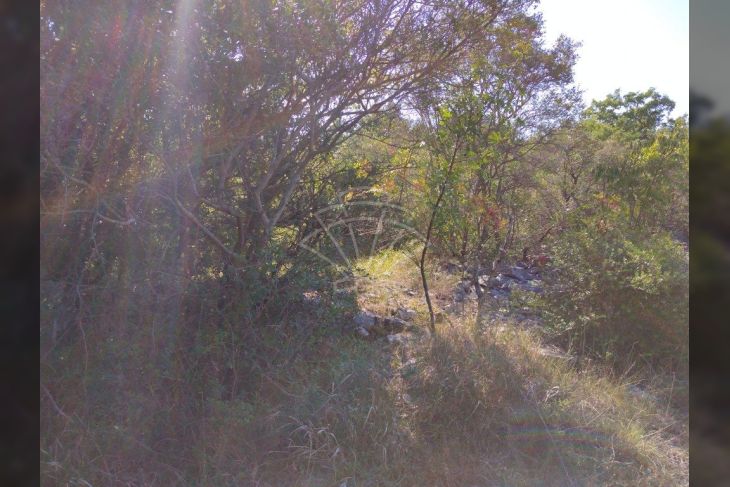 Poljoprivredno zemljište, Prodaja, Bale, Bale Poljoprivredno zemljište, Prodaja, Bale, Bale