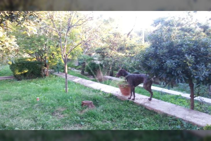 Samostojeća, Prodaja, Rijeka, Zapad Samostojeća, Prodaja, Rijeka, Zapad