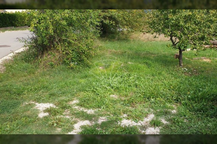 Građevinsko zemljište, Prodaja, Motovun, Motovun Građevinsko zemljište, Prodaja, Motovun, Motovun