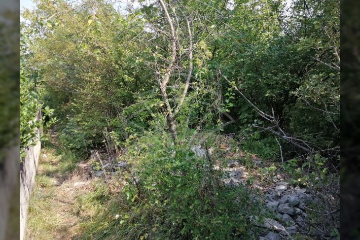 Poljoprivredno zemljište, Prodaja, Matulji, Pasjak Poljoprivredno zemljište, Prodaja, Matulji, Pasjak